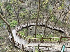 -大岭沟猕猴桃谷风景区
