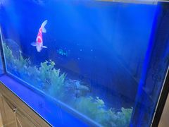 -阿拉木汗餐厅(山大路店)