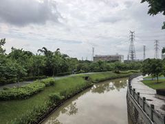 -长洲岛
