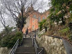 -上海佘山国家森林公园天马山园