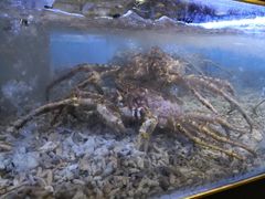 -布吉佳兆业广场