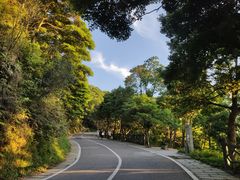 -梧桐山风景名胜区