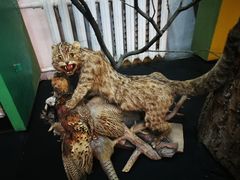 -布拉戈维申斯克