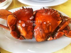 -莲花公园煎蟹(总店)