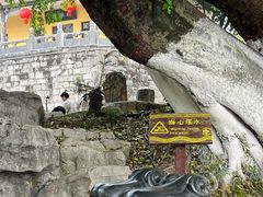 -桂林两江四湖景区