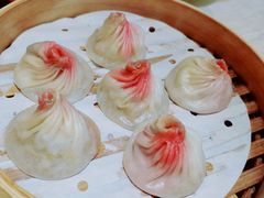 如皋萝卜牛腩小笼包-苏小柳点心·手作小笼包(新街口分院店)