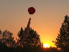 -东北大学(秦皇岛分校)