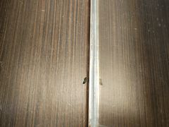 -惠州金海湾嘉华度假酒店