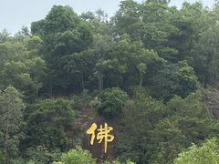 -三水森林公园