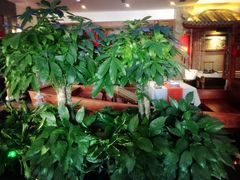 -碧露轩·大益茶体验馆(镇江路店)