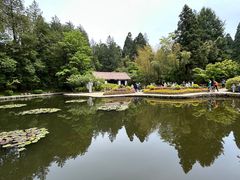 -庐山风景区花径公园