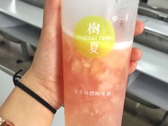 -树夏(建设路店)