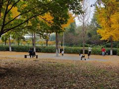 -东升八家郊野公园