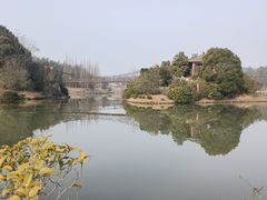 -宜兴龙背山森林公园