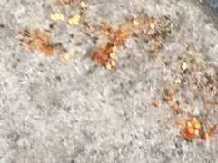 -东北人粗粮饺子坊(南山店)