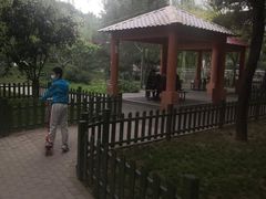 -黄村公园