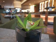 -西安高新希尔顿酒店·咖啡露台西餐厅