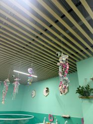 -妙糖乐园(乐坊·大华生活广场店)