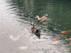 -姑婆山旅游区
