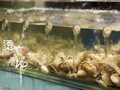 -多迷烫菜广场(水心大厦店)