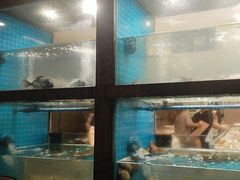 -码头鲜精致威海菜(欧乐坊店)