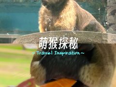 -秦皇岛野生动物园