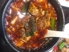 -陈麻婆豆腐总店