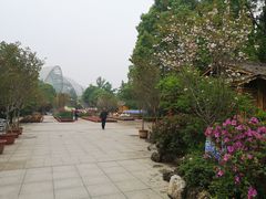 -南山植物园