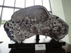 中华赏石园-中华赏石园