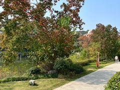 -青山湖景区