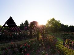 -上海滨江森林公园
