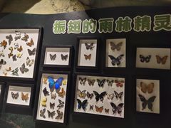 -MR.ZOO小小动物元室内动物园(沈阳沈河盛京中心)