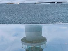 -深圳湾公园(南山区)
