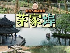 -茅家埠
