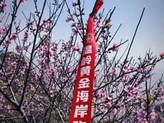 -温岭石塘海边