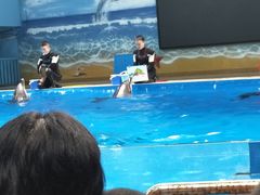 -锦艺城海洋馆