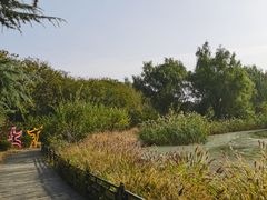 -大兴滨河森林公园