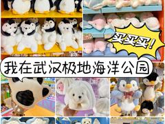 -海合安武汉极地海洋公园