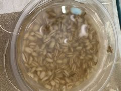 甜醅子-清真·伊然轩青海特色美食