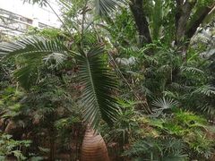 -龙达温泉生态城