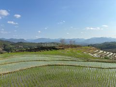 -牙胡梯田