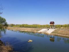 -东郊湿地公园