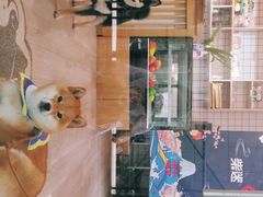 -柴迷FANS CLUB·柴犬狗咖·猫咖
