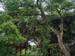 -乌山风景区