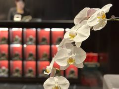 -明湖楼·经典鲁菜山东海鲜(大明湖店)