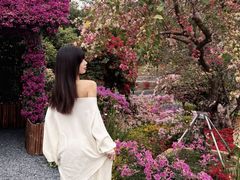 -东莞植物园