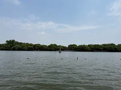 -天乐农家鱼头王(天目湖店)