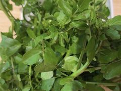 -陈记顺和潮汕鲜牛肉火锅(棠德南路店)