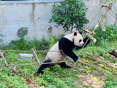 -黔灵山公园