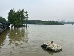 -海珠湖公园